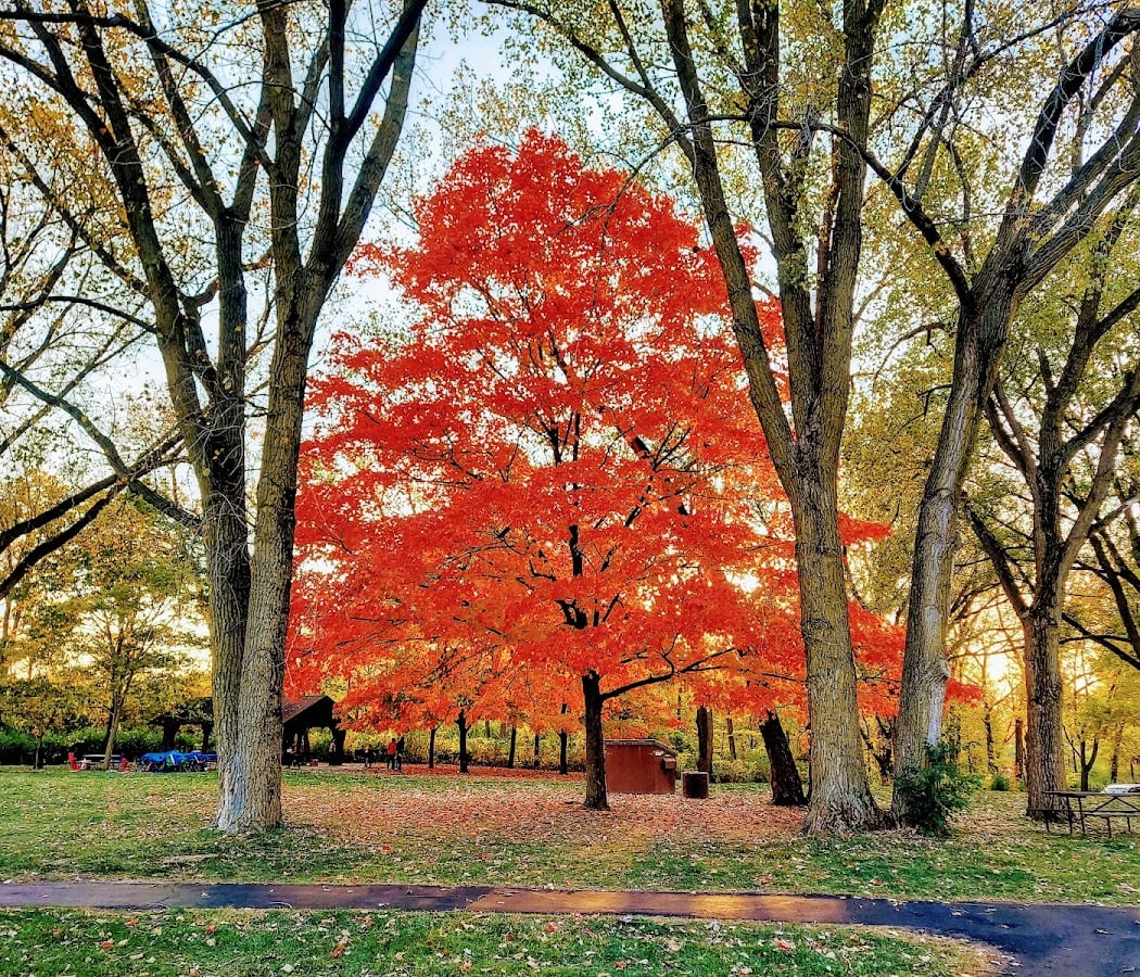Blackwell Forest Preserve 5